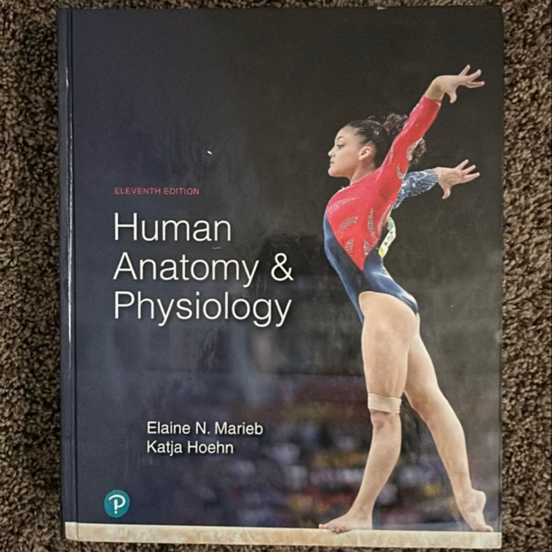 Human Anatomy and Physiology