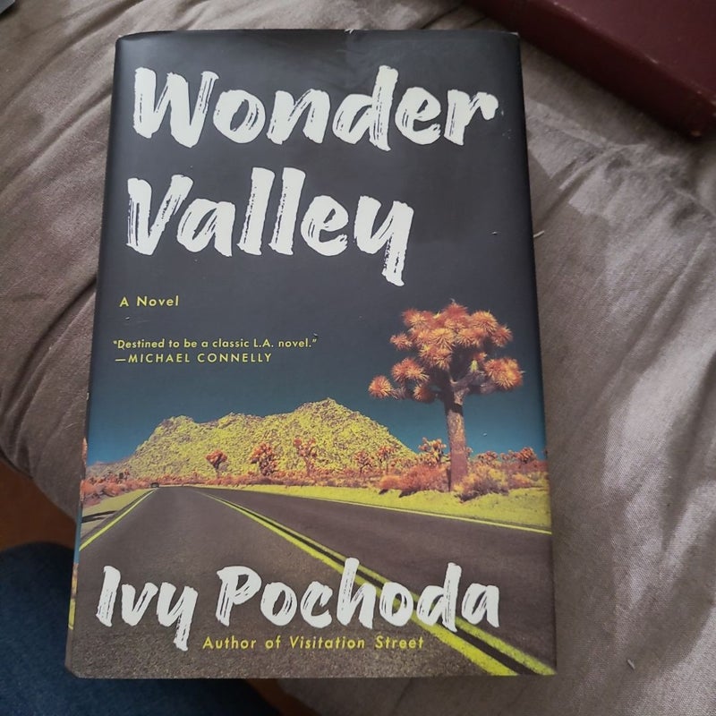 Wonder Valley