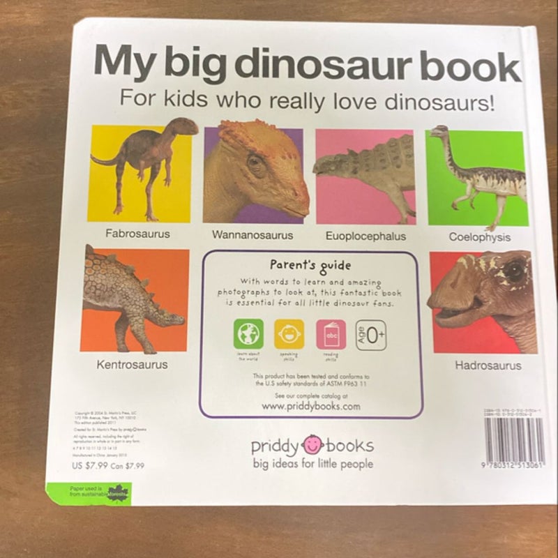 My Big Dinosaur Book