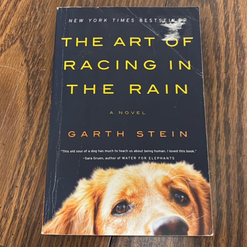 The Art of Racing in the Rain