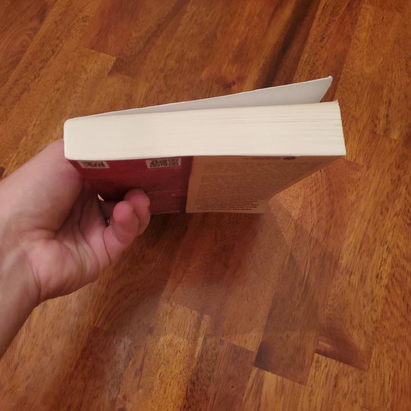 The Lost Van Gogh By Jonathan Santlofer