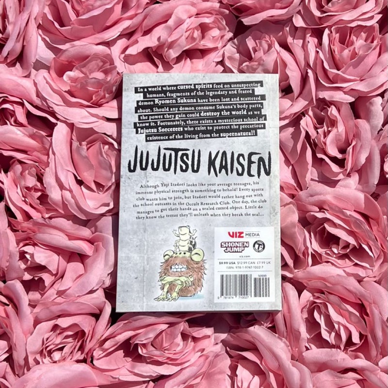 Jujutsu Kaisen, Vol. 1