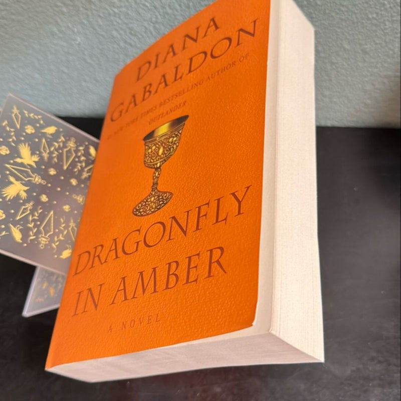 Dragonfly in Amber