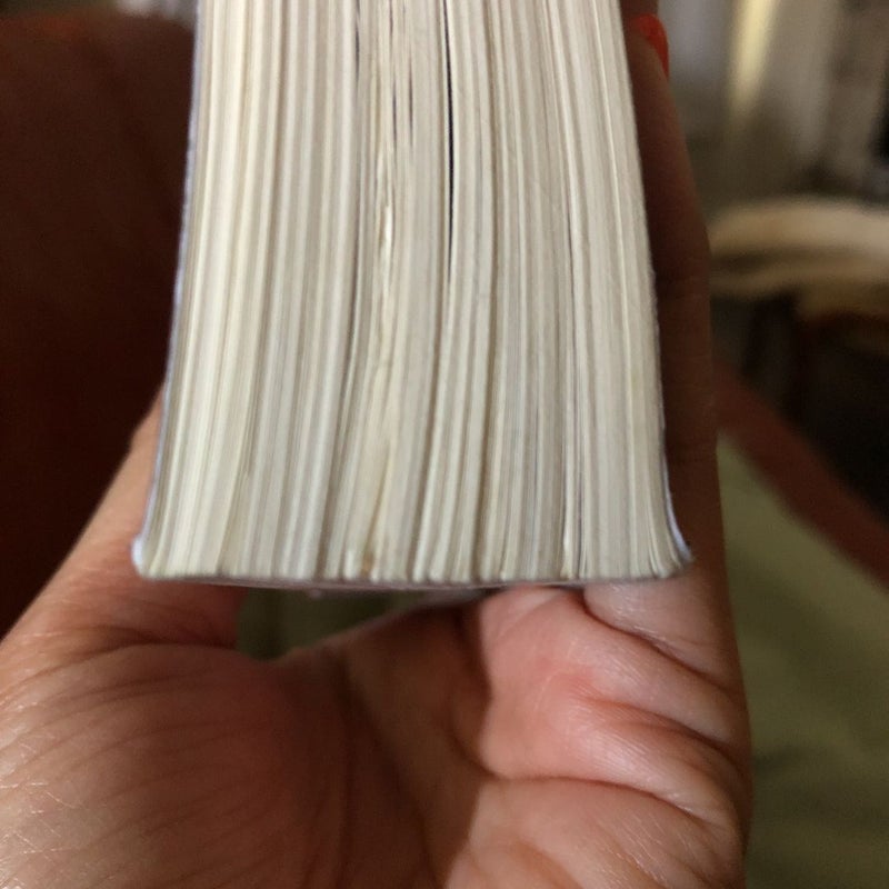 the-secret-life-of-sunflowers-by-marta-molnar-paperback-pangobooks