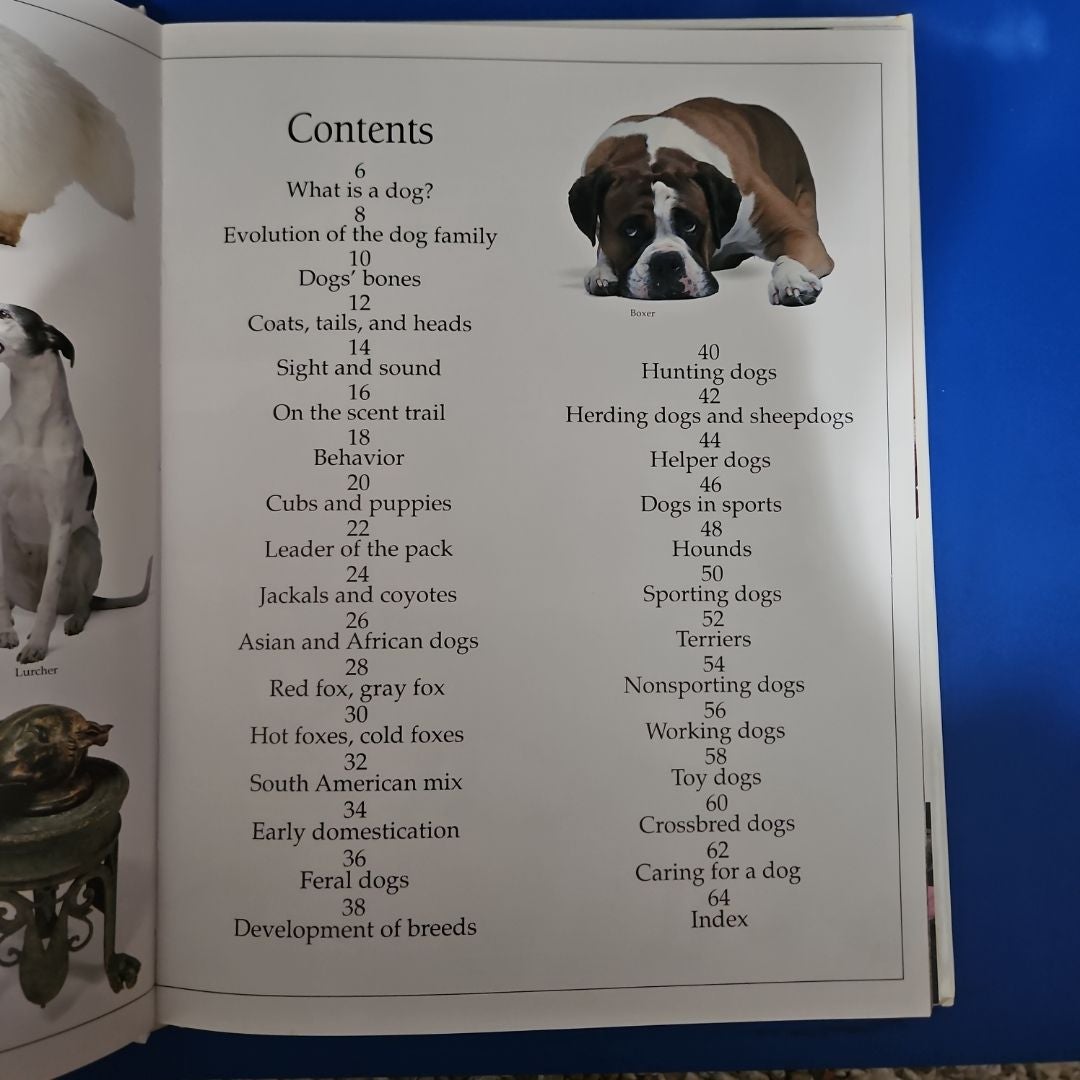 Cat (Eyewitness Guides), Clutton-Brock, Juliet, Used; Good Book - Foto 13