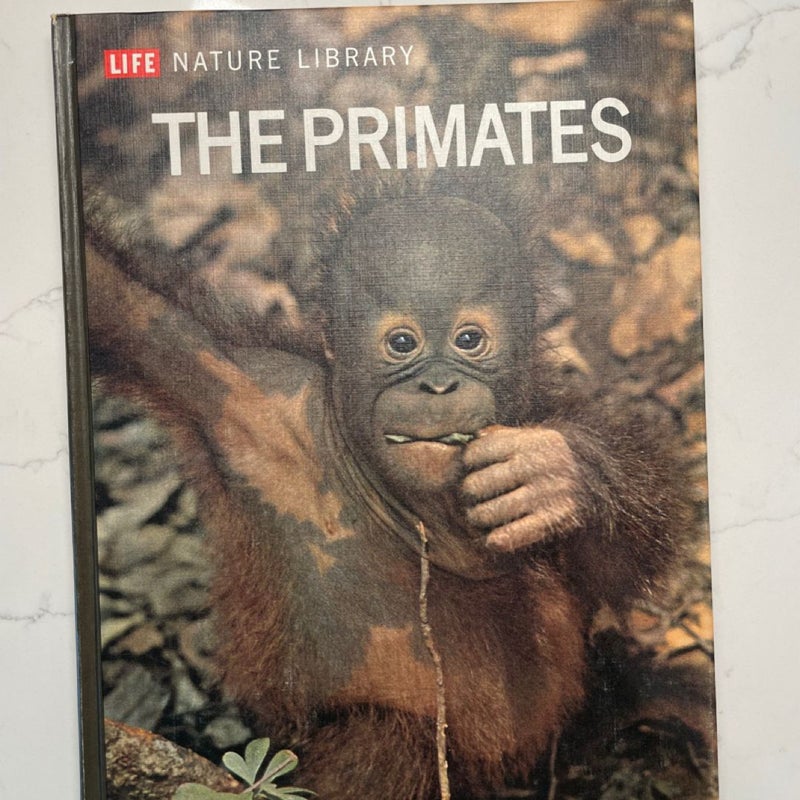The Primates