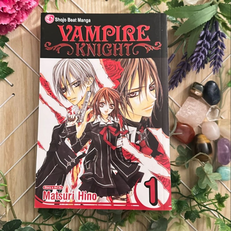 Vampire Knight, Vol. 1