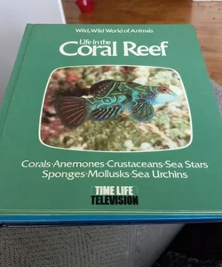 Life in the coral reef