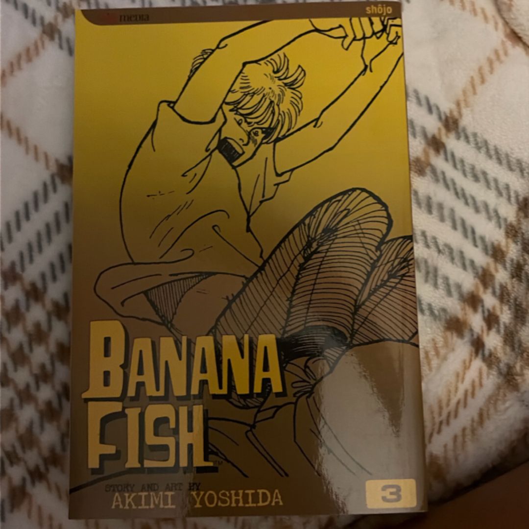 Banana Fish, Vol. 3