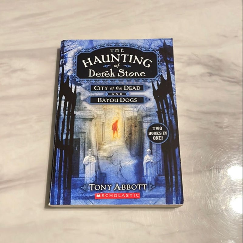 The Haunting of Derek Stone