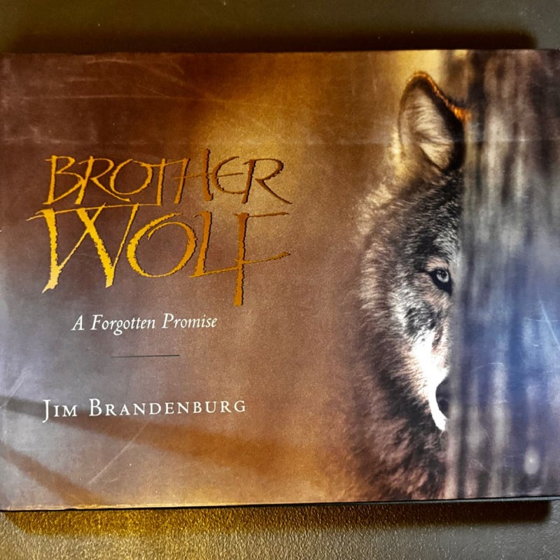 Brother Wolf