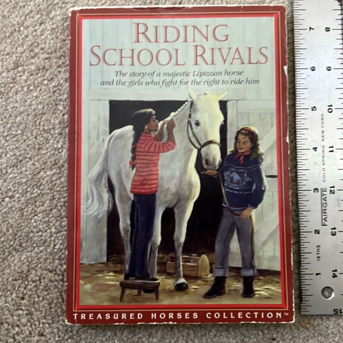 Riding School Rivals by Susan Saunders