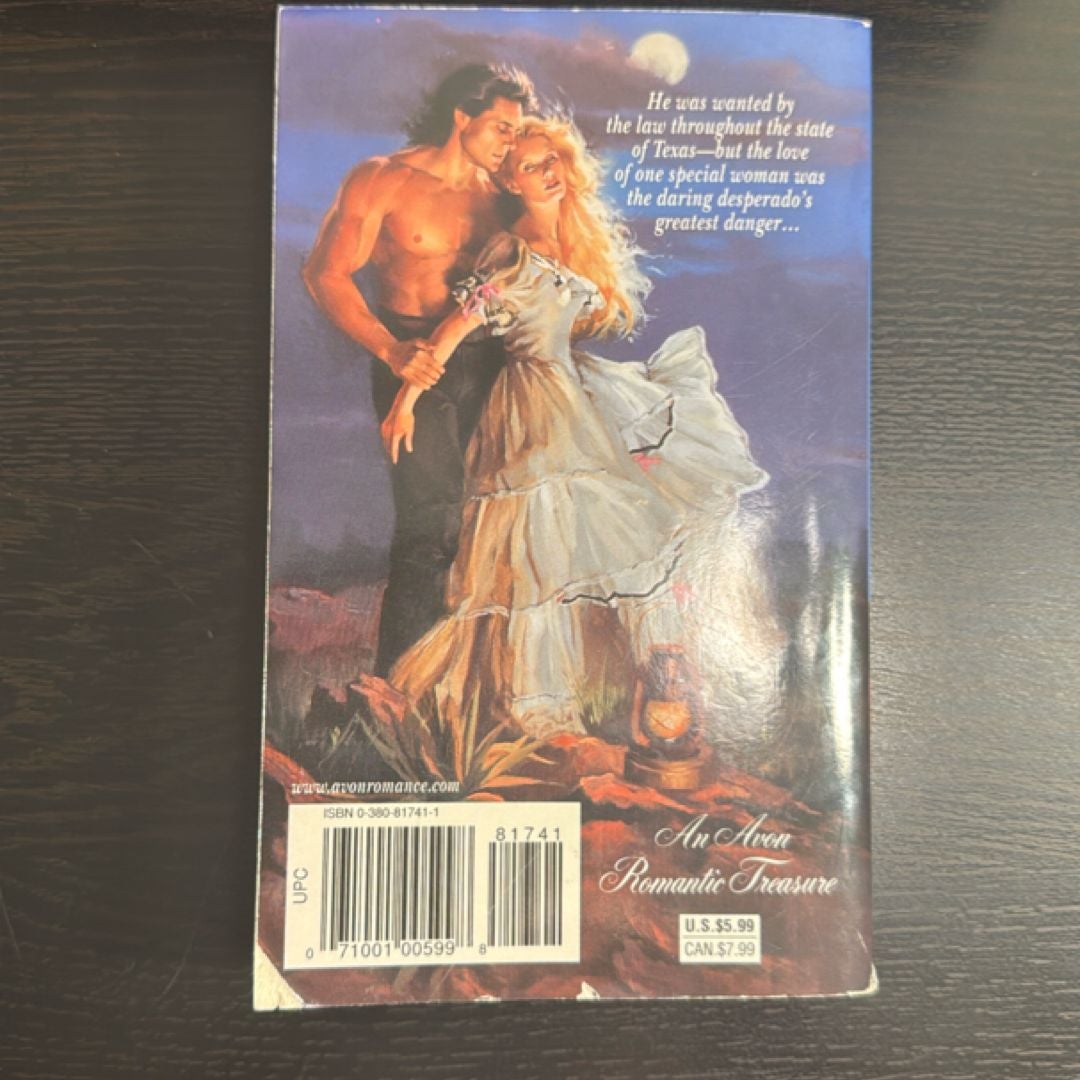 The Outlaw and the Lady