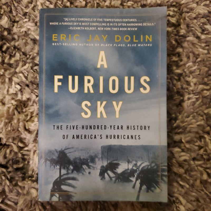 A Furious Sky