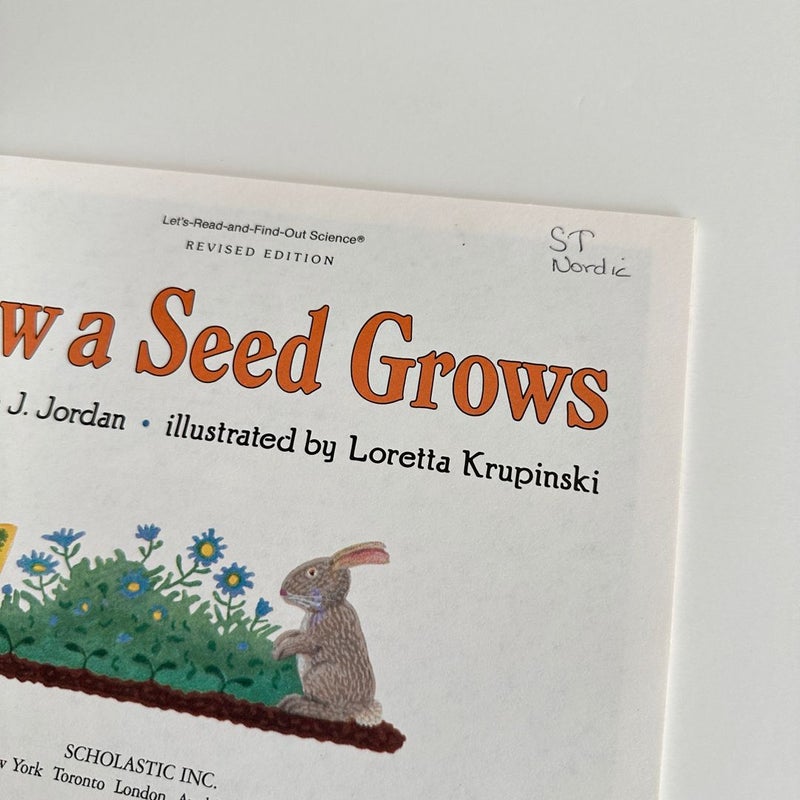 How a Seed Grows