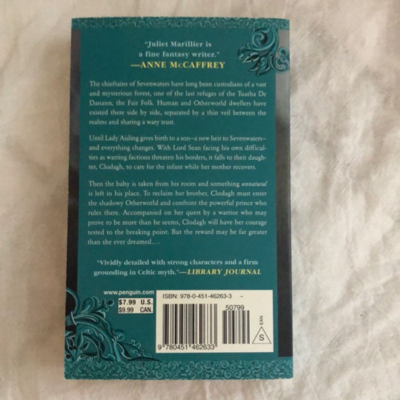 Heir to Sevenwaters