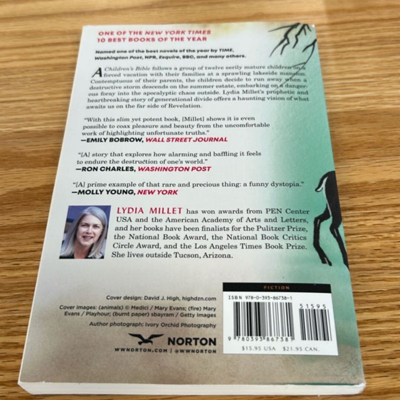 A Children's Bible
