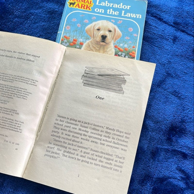 BOOK BUNDLE: Labrador on the Lawn and Labrador in the Leaves