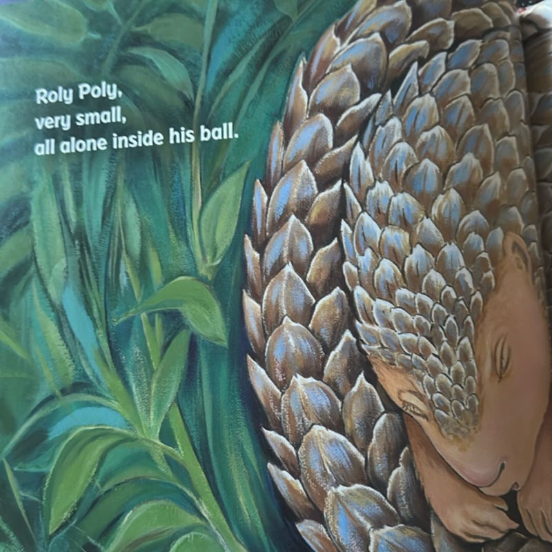 Roly Poly Pangolin
