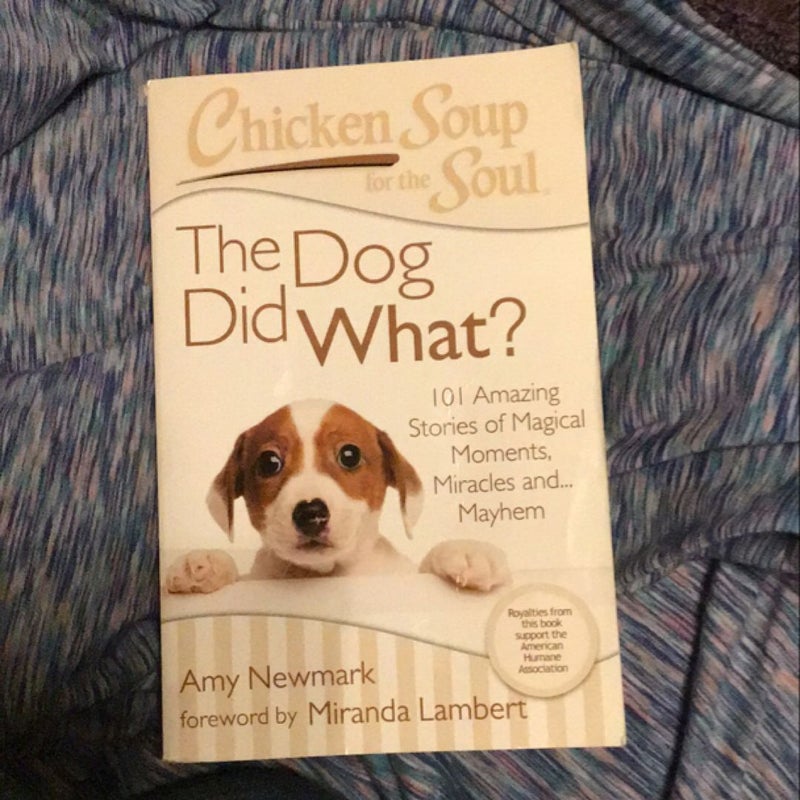 Chicken Soup for the Soul: the Dog Did What?