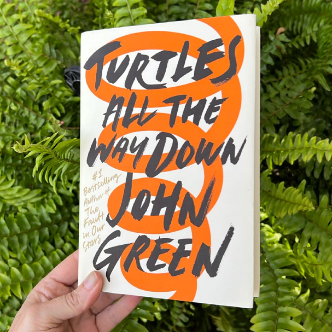 Turtles All the Way Down (FIRST EDITION)