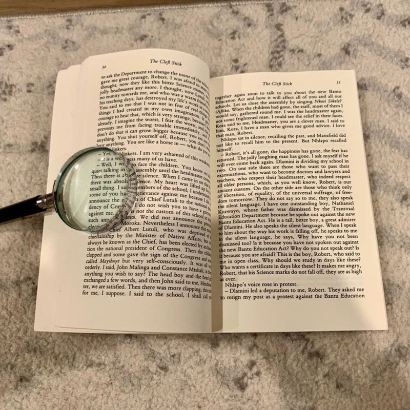 Ah, but Your Land Is Beautiful