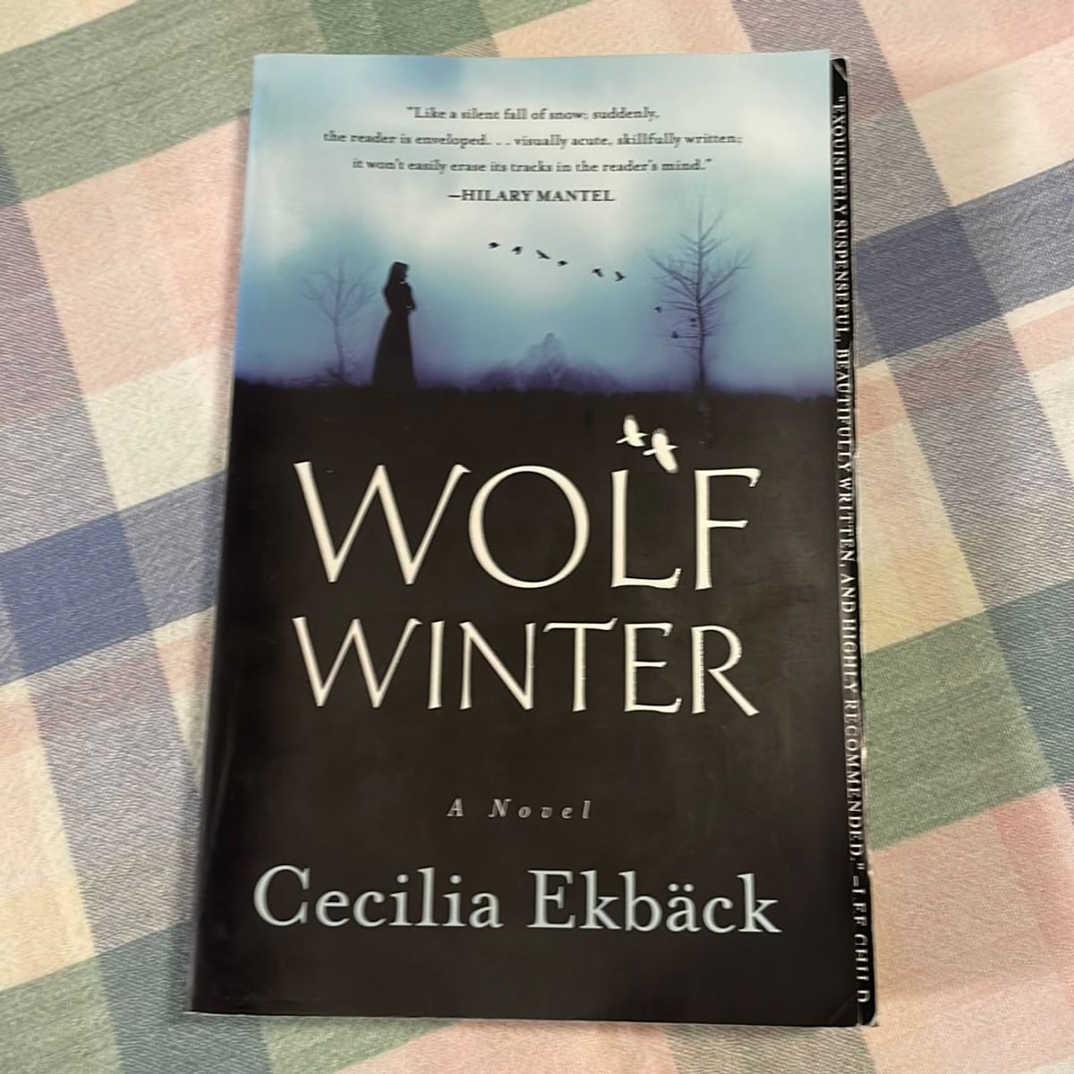 Wolf Winter by Cecilia Ekbäck