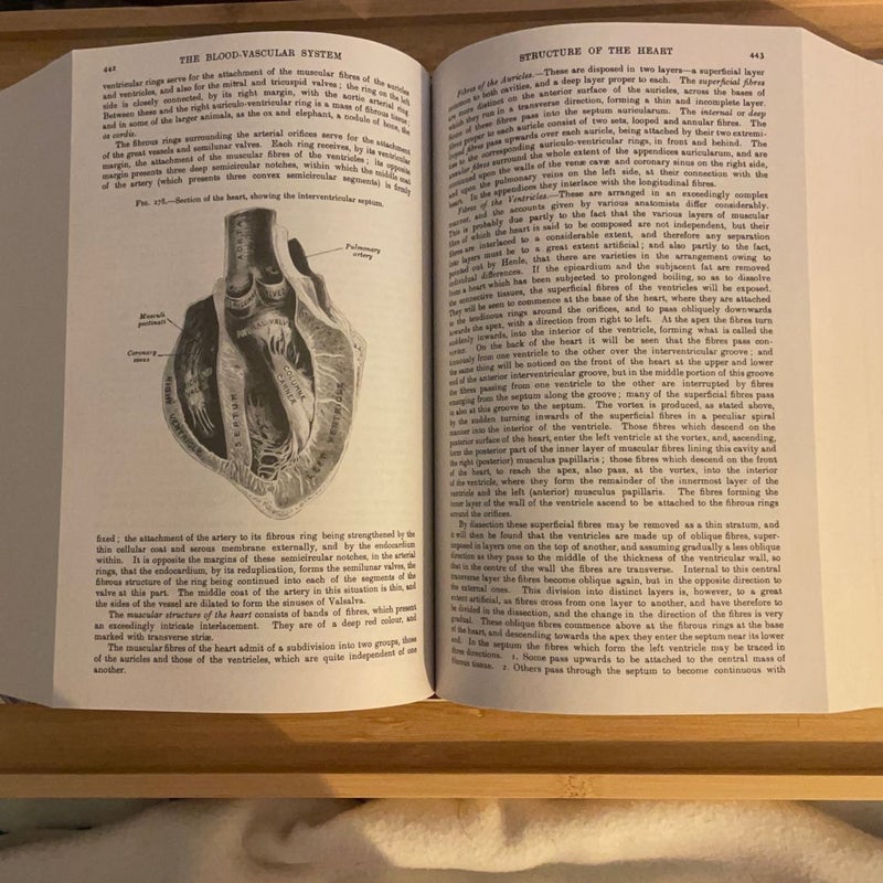 LAST CHANCE: Gray's Anatomy