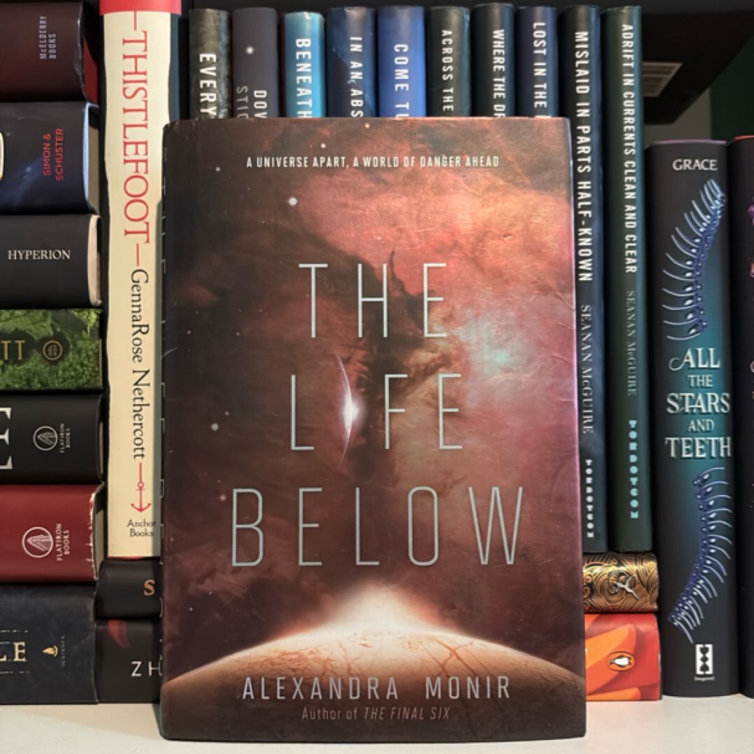 The Life Below