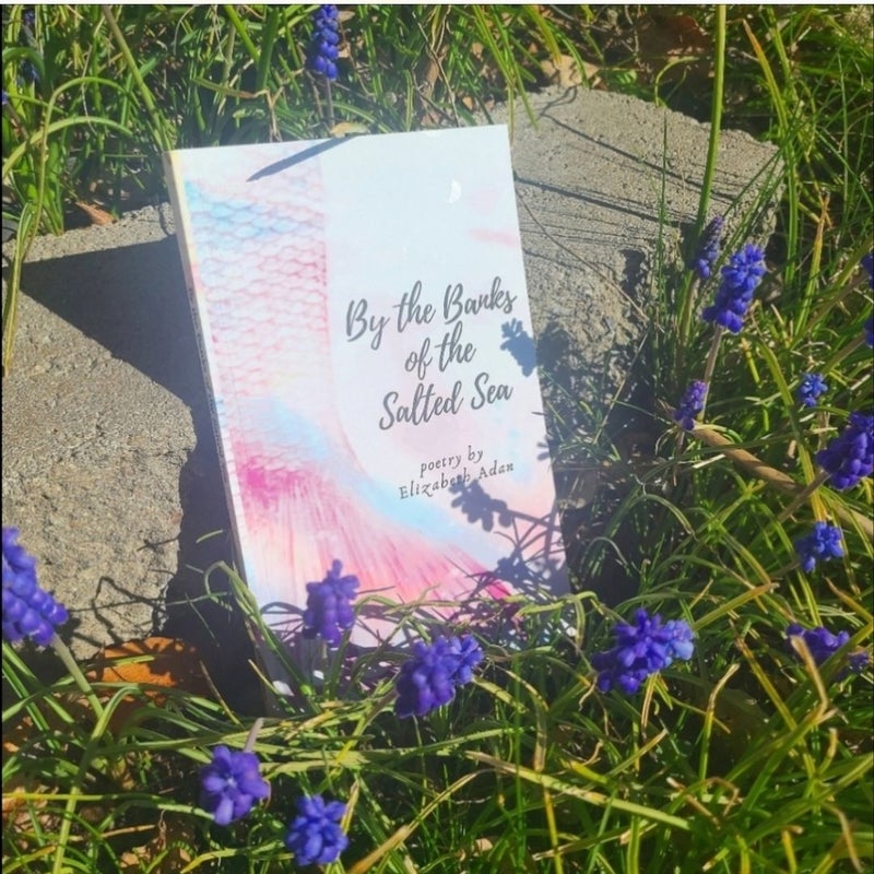 🆕️Signed Poetry Book - By the Banks of the Salted Sea