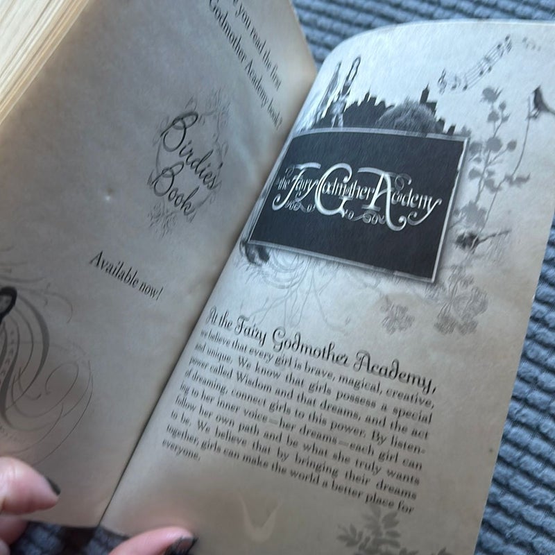 The Fairy Godmother Academy #2: Kerka's Book