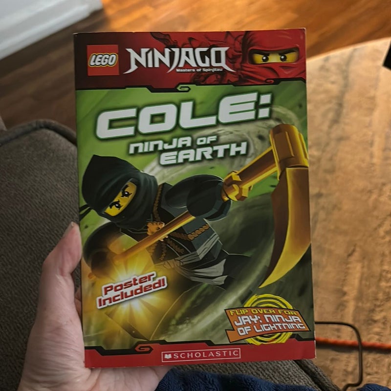 LEGO Ninjago (2 books in 1)