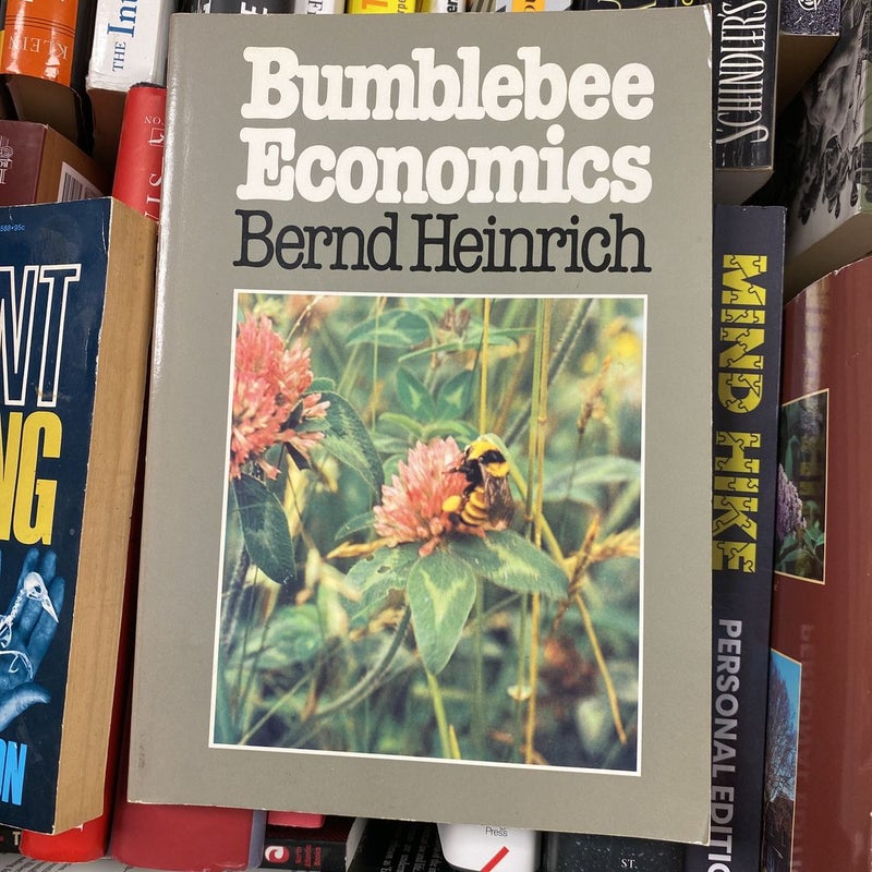 Bumblebee Economics