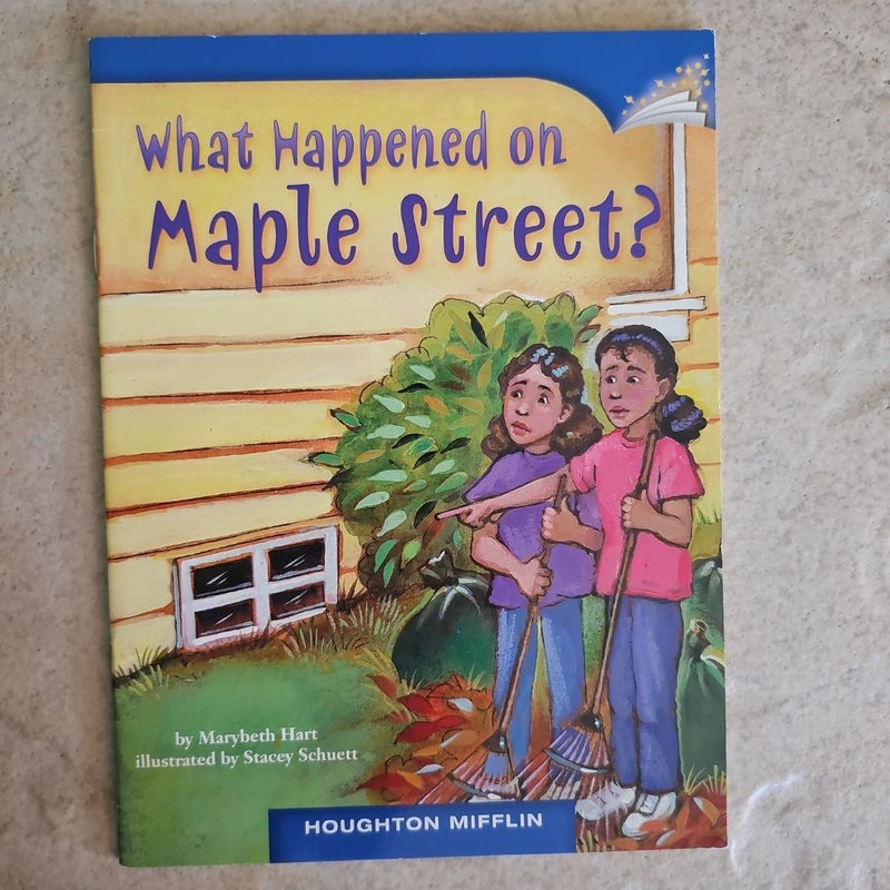 What Happened on Mapple Street?