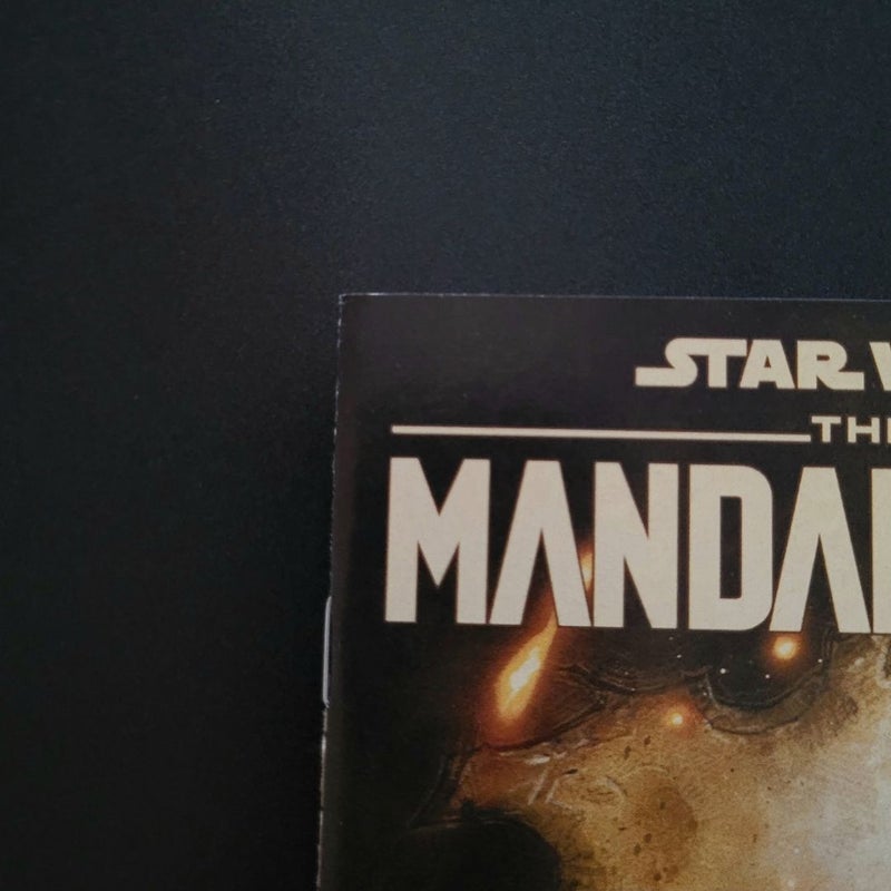 Star Wars: The Mandalorian #2