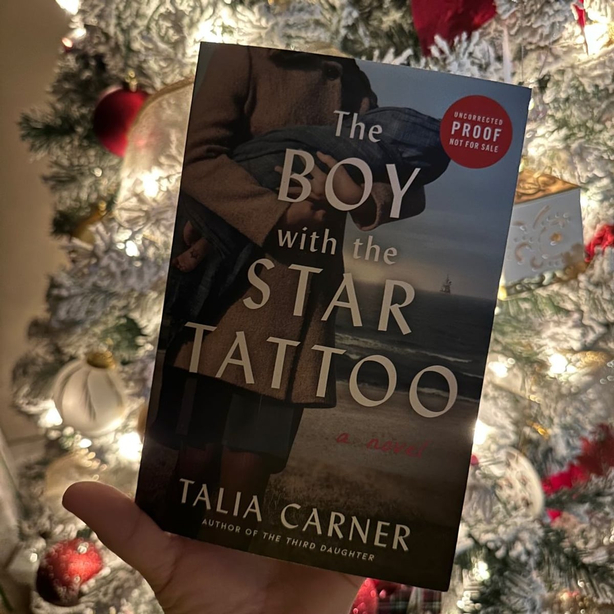 The Boy with the Star Tattoo by Talia Carner, Paperback | Pangobooks