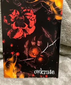 Owlcrate Art Print