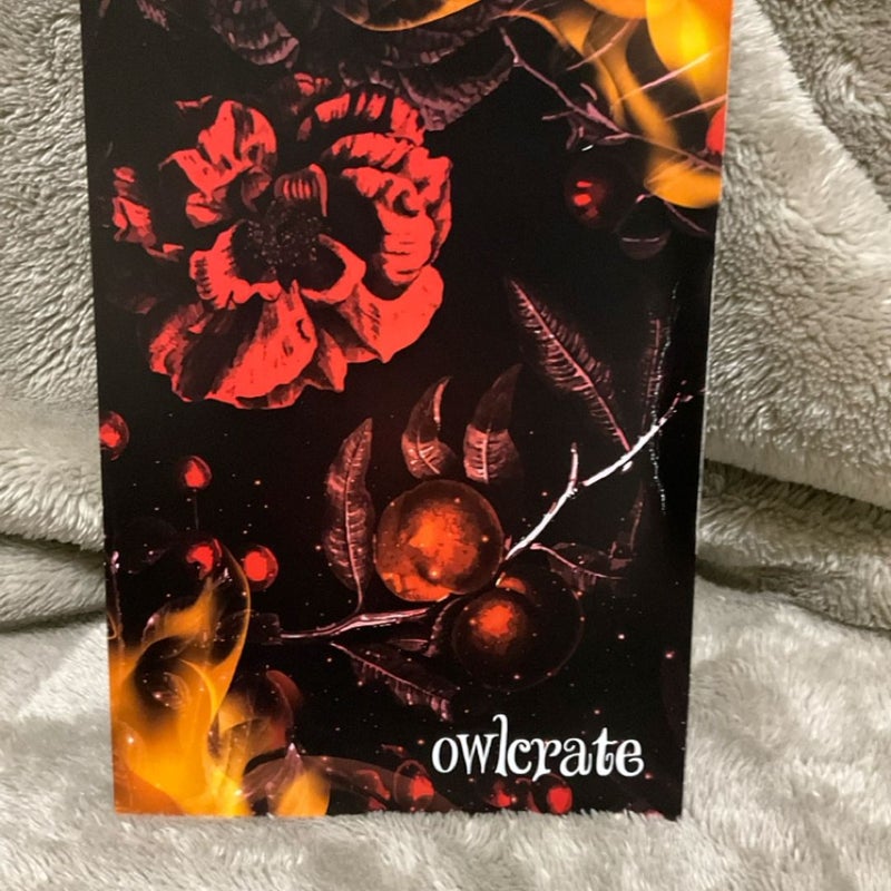 Owlcrate Art Print