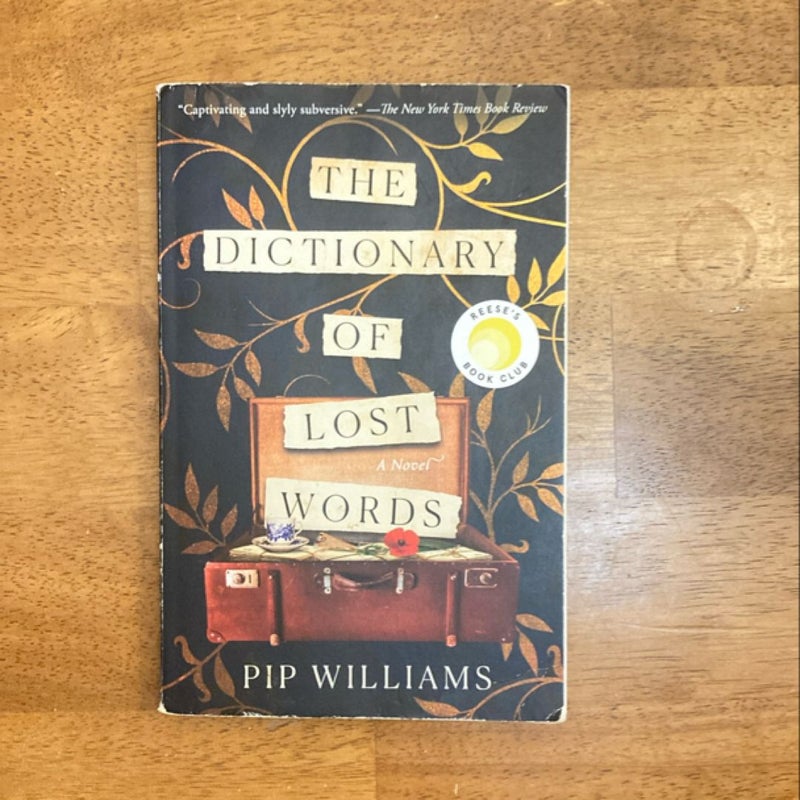 The Dictionary of Lost Words