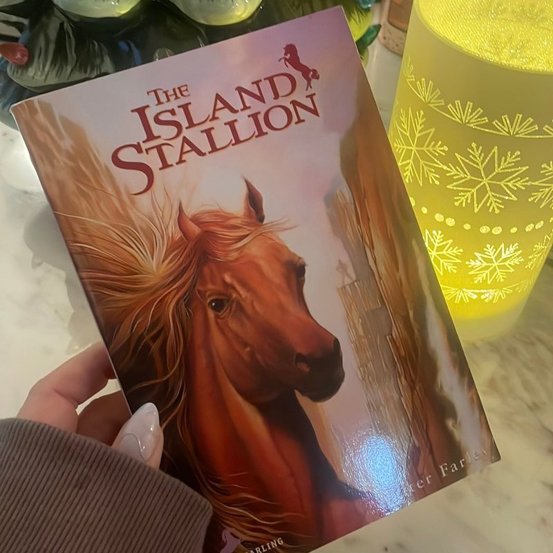 The Island Stallion by Walter Farley, Paperback Pangobooks