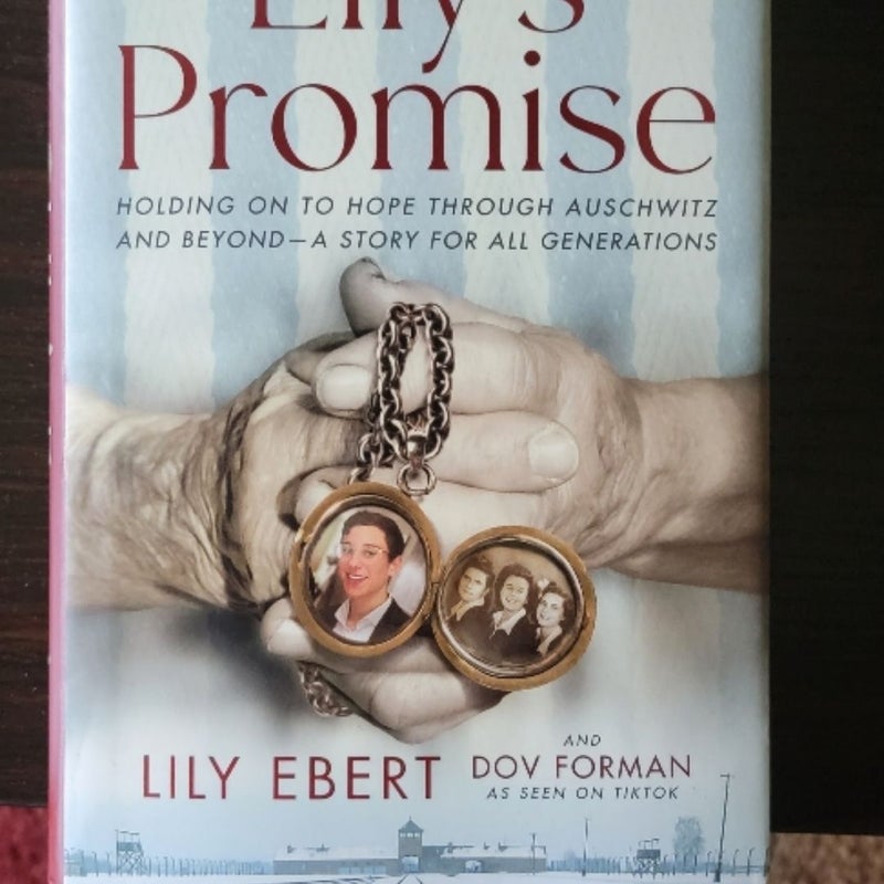 Lily's Promise