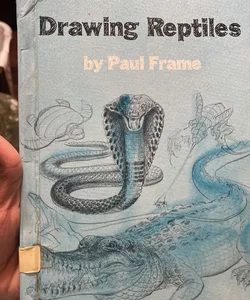 Drawing reptiles 