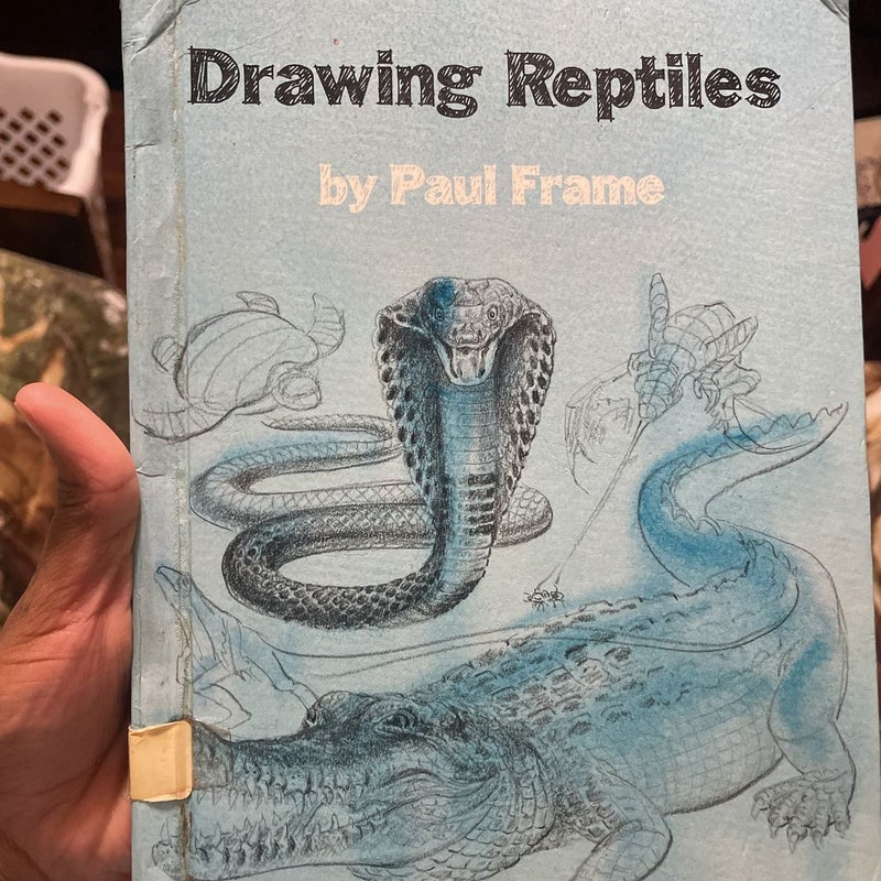 Drawing reptiles 