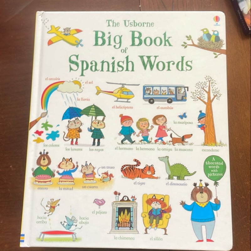 Usborne Big Book of Stories Spanish Words