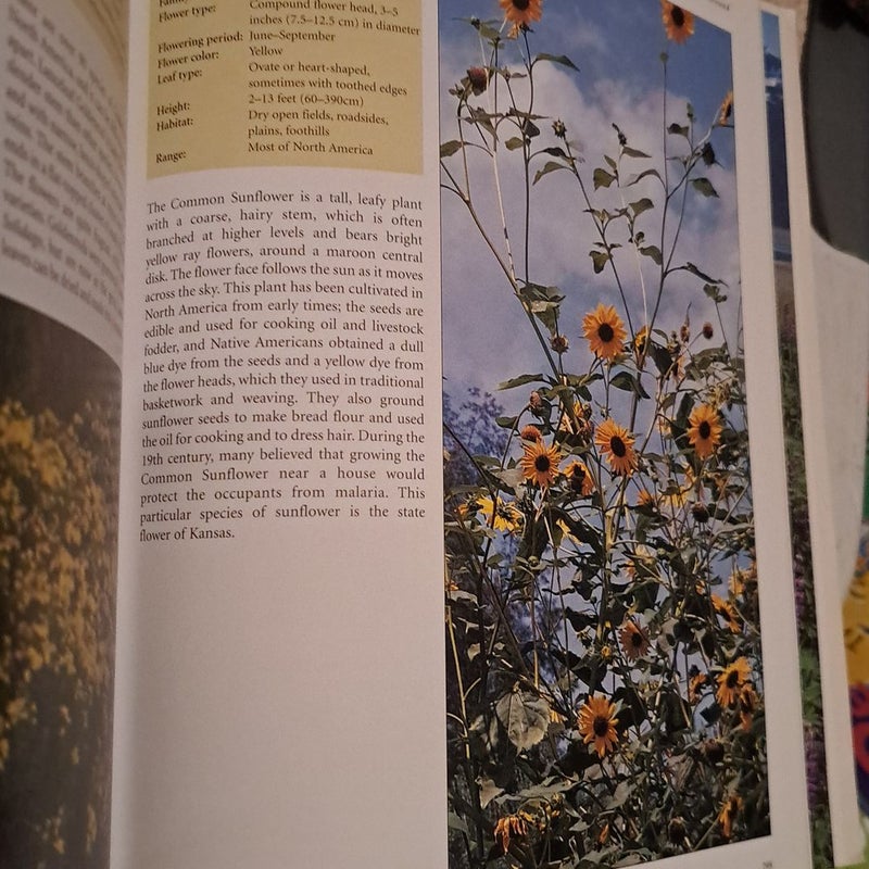 The Encyclopedia of North American Wild Flowers