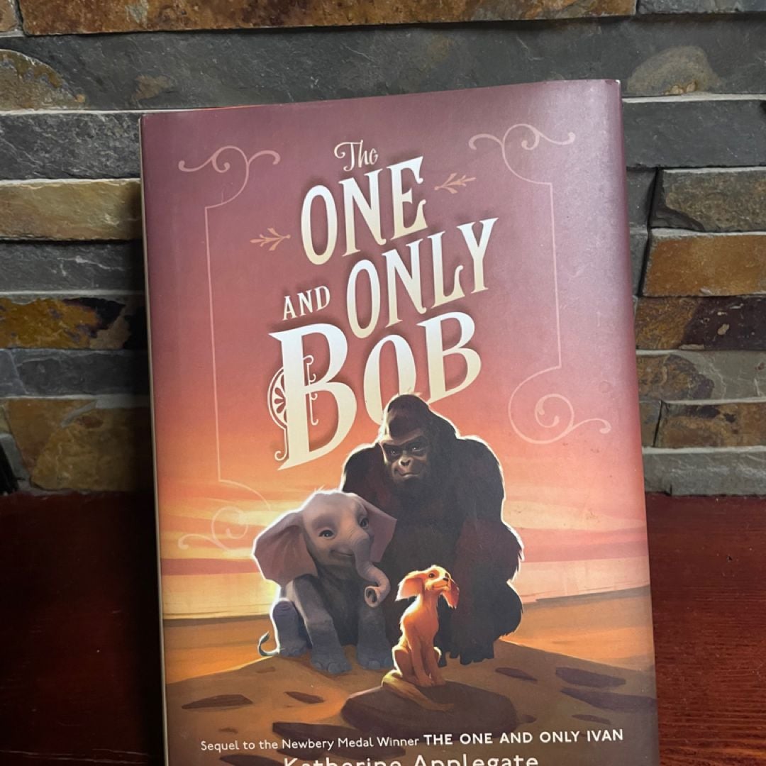 The One and Only Bob by Katherine Applegate, Hardcover Pangobooks