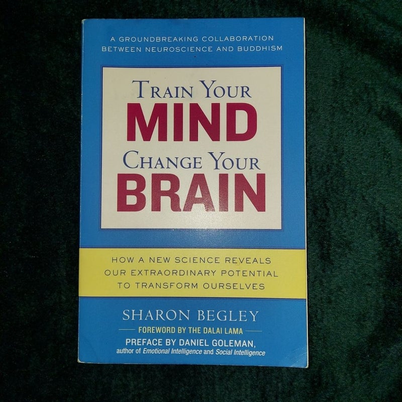 Train Your Mind, Change Your Brain