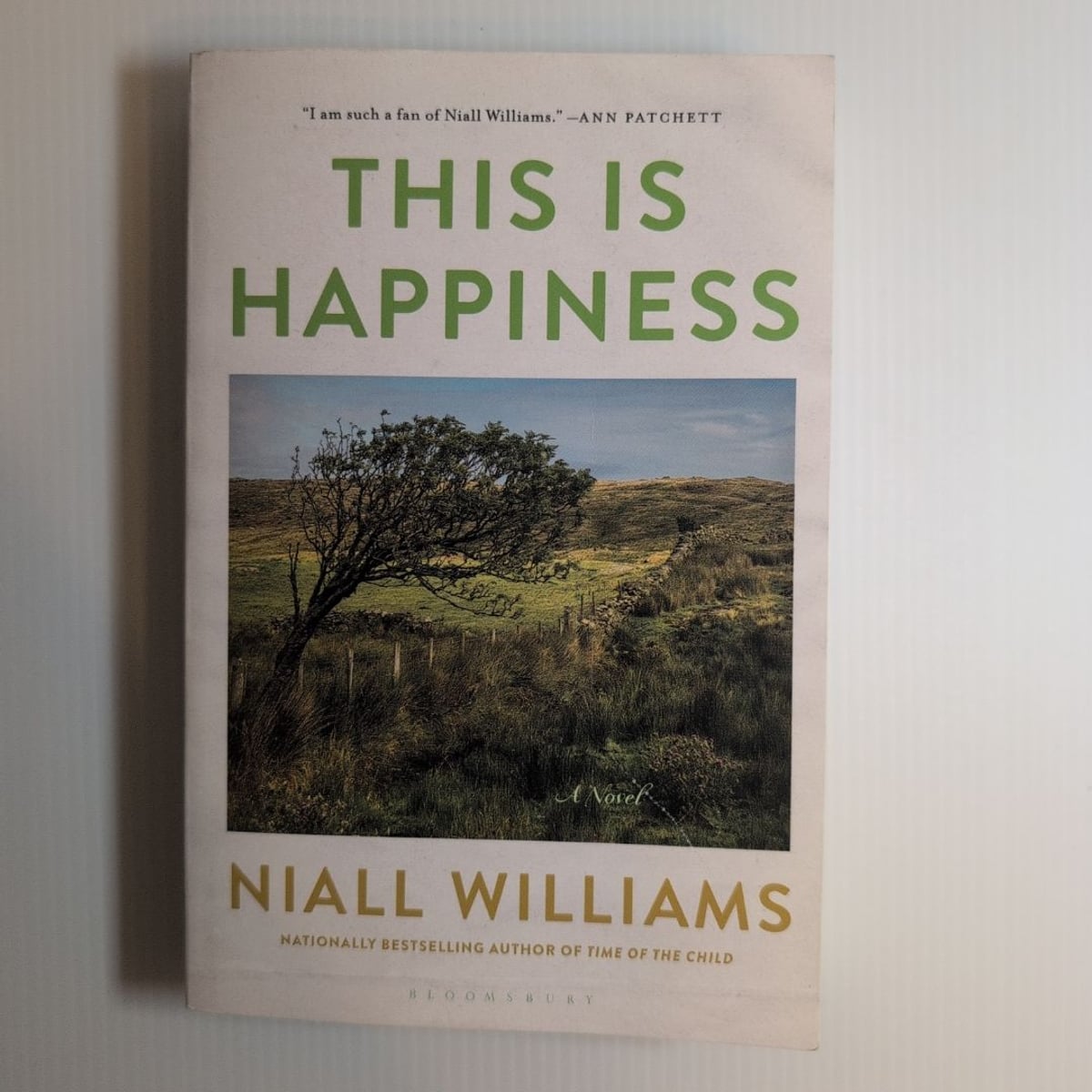 This Is Happiness by Niall Williams