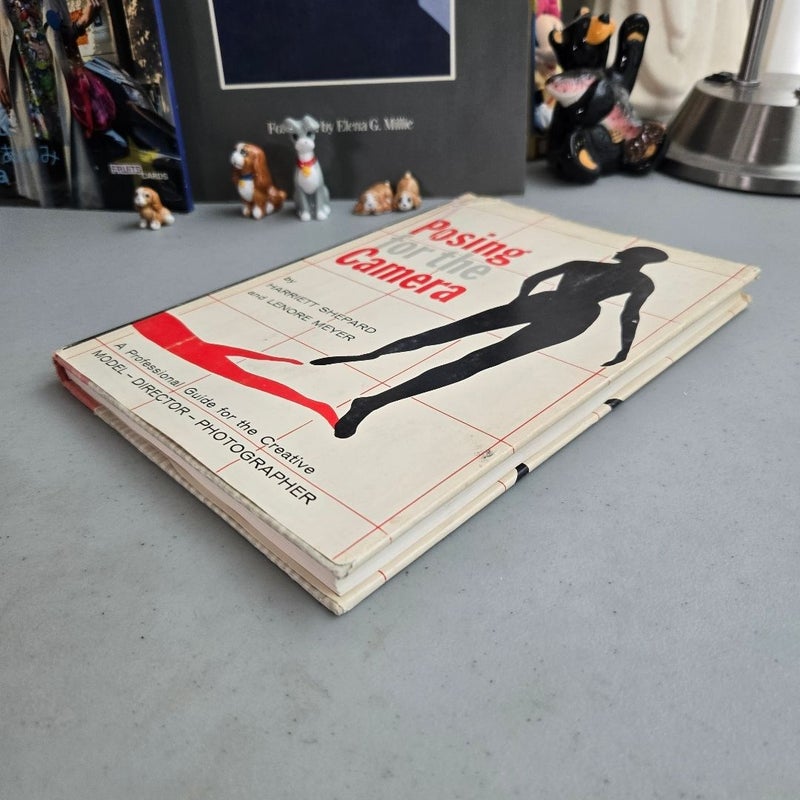 Posing for the Camera a Professional Guide for the Creative Model Director Photographer
