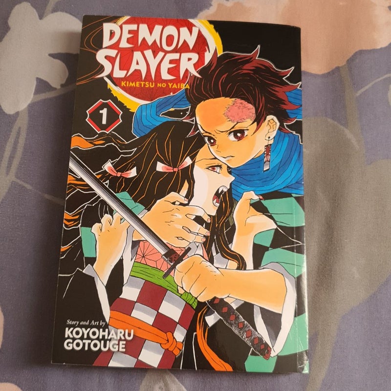 Demon Slayer: Kimetsu No Yaiba, Vol. 1